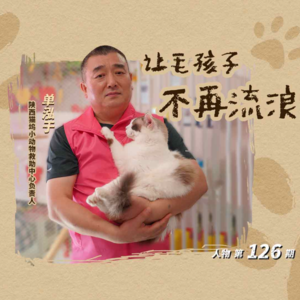 30多年救助5000多只猫狗，动物救助者单泓于：让毛孩子不再流浪