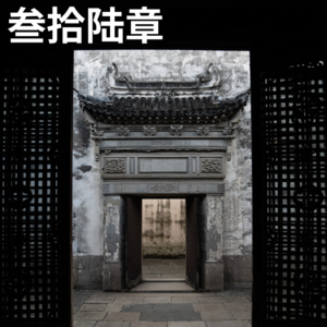调茬报告（六）- 无稽之谈 Vol.36