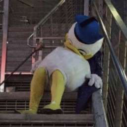 20年代幽默对谈迷你版003:一种非常内向的失眠