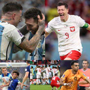 出线形势全解析（上）！世界杯观赛日志 Plog ⚽️4｜M17～M24（荷兰、英格兰、阿根廷、法国...）