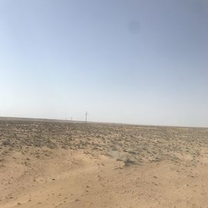 鬼台第359期：荒漠守望者