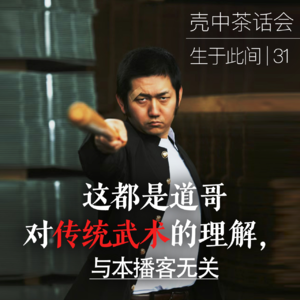 31.这些都是道哥对传统武术的理解,与本播客无关「生于此间」