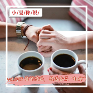 vol.005 佳节过后，最适合谈“相亲”