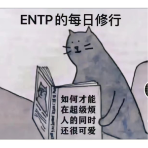 No.64 如何讨人喜欢？但需要讨人喜欢吗？我们的社交效率平衡学&社交机缘说