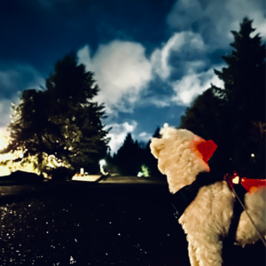 EP 10 ｜ 超速音乐 1