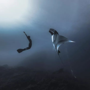 Vol.19 宋刚，在海面之下看到的景色很酷