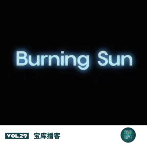 VOL.29-The Burning Sun：李胜利案