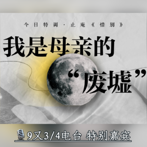 特别嘉宾丨今生我们还有缘一起看多少次月亮·止庵·惜别