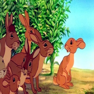 兔子国的“国咒”