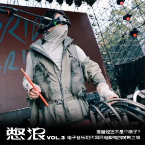 谁曾经还不是个喷子？电子音乐初代网民电板鸭的烤熟之旅