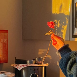 vol.010 女版刘华强的呐喊:你这爱情保熟不?