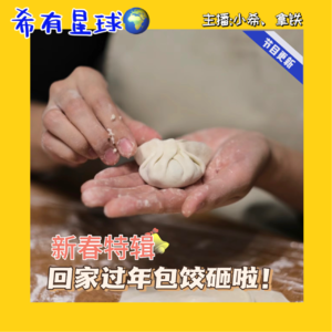 010 新春特辑!南北年俗集结令，大家一起包饺砸|她能量：9/100个女性故事