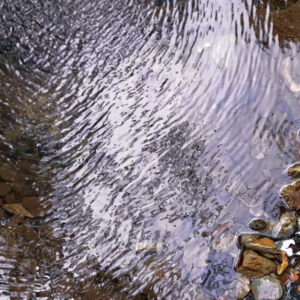 VOL42.高考前夕表妹退学:她做了一个绝望的决定,充满无力感和遗憾。