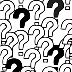 vol. 013 The community of questions.
