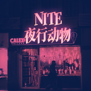 【夜行动物NITE】- 当代年轻人失恋还会有爽感，谁懂？
