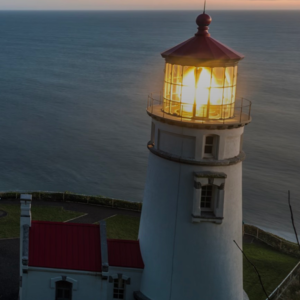 问题种子17 新手教练如何生长?试试搭起信号塔,让愿望成真