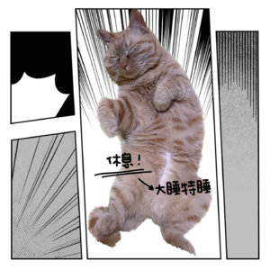 64 假如给我三天休息