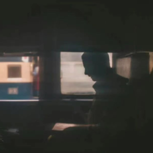 活生生钉一只蝴蝶在墙上