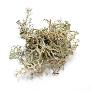 vol 004 认识馥奇香水结构和历史香水