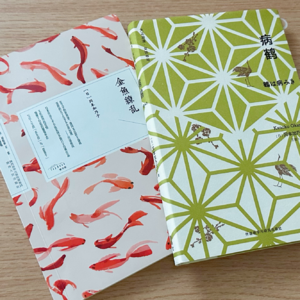 Vol.65 冈本加乃子的多重宇宙：时而疾跑时而疯狂