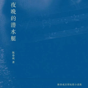 4.小镇青年的文学梦：《夜晚的潜水艇》