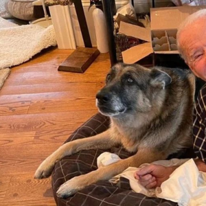 四年了！白宫迎回“第一狗”，“第一猫”还有多远？