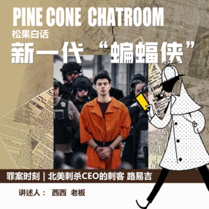 44.罪案时刻|北美新一代“蝙蝠侠”：路易吉刺杀CEO案