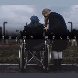 呆bi白莲花：医学人类学