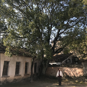 018 2024年开始了！一起许愿～