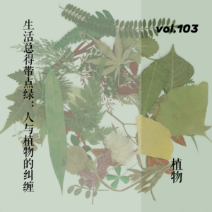 vol.103 生活总得带点绿：人与植物的纠缠