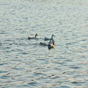 NO.023 生活哪有什么完整的逻辑，细小琐碎才是主题