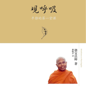 78. 读书系列44- 观呼吸
