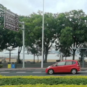 Vol.08丨不上不下的我们的一生：小语种应届生的求职心路