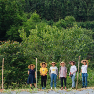 乡里乡音 | “我们都为了做生态农业流过泪水”