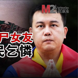 留学生杀害女友逃回中国，化身难民摇尾乞怜