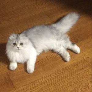 EP18 正念:不念过往不畏将来,活在当下