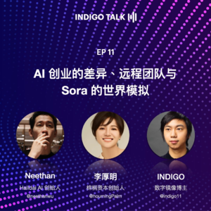 INDIGO TALK / AI 创业的差异与 Sora 的世界模拟 - EP11