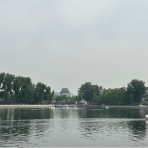 被断尾的“网红”和被雪藏的“贵族”