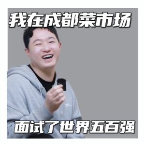我在成都菜市场面试世界五百强