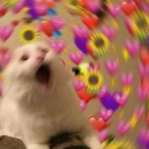 ep35. 我决定活得更加目中无人,光天化日随时亲嘴儿。|coldplay演唱会深深有感!