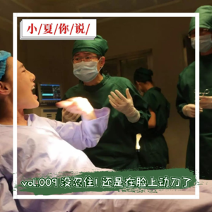 vol.009 没忍住！还是在脸上动刀了