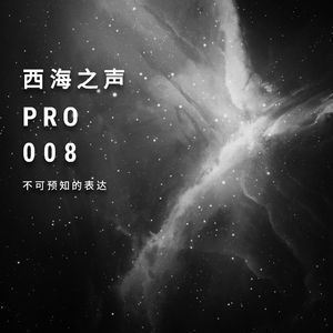 西海之声Pro 008：不可预知的表达