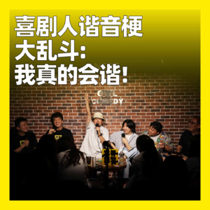 104. 喜剧人谐音梗大乱斗:我真的会谐!