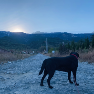 Vol.8 好友歌单：不听古典音乐的堂主做不好猪脚饭
