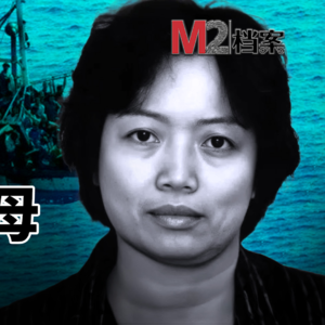 纽约萍姐-万人敬重的偷渡女皇