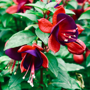 #EP 22 QE Channel 地狱在人间