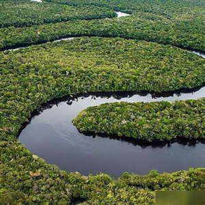 闲话一些河-水3|亚马逊河