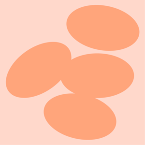 1号星球 黄海&Rio EP06｜去二线城市发现「金子」