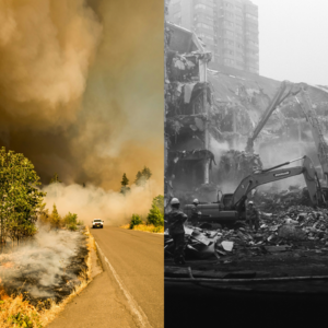 77. 日本地震、美国山火,我们在海外经历过的那些自然灾害