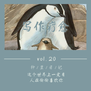 vol.20 写作疗愈|这个世界上一定有人在偷偷喜欢你